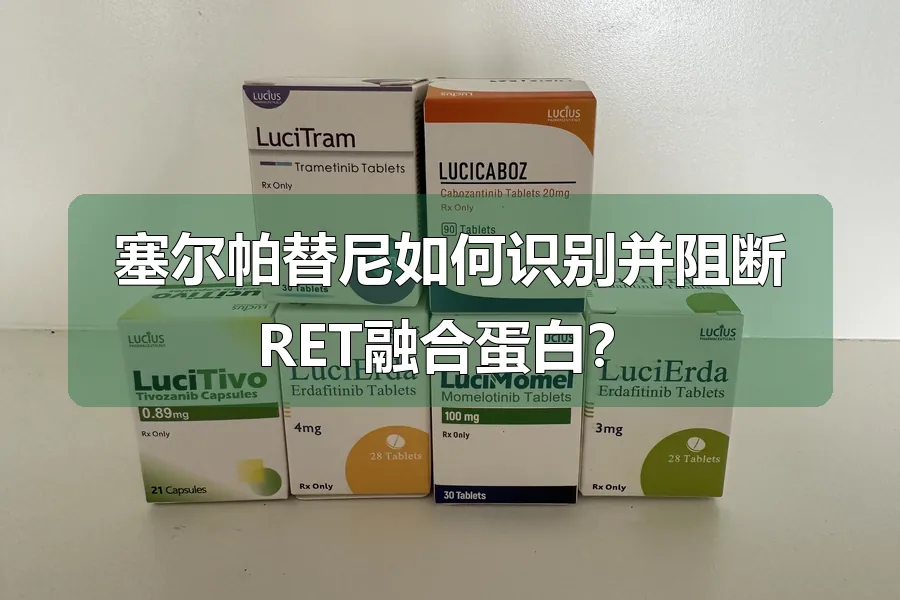 塞尔帕替尼如何识别并阻断RET融合蛋白?