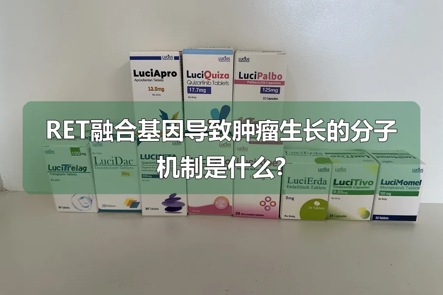 RET融合基因导致肿瘤生长的分子机制是什么?